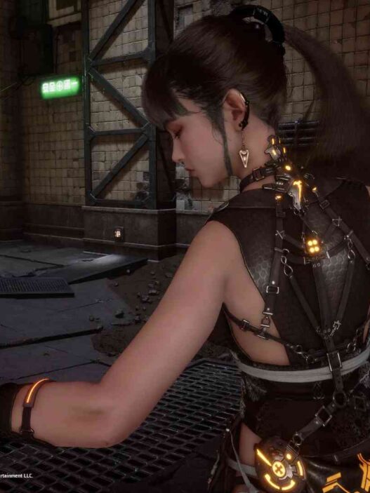 Replaces EVE's head with Scarlet’s DLC model. Seamless and skin-matched for flawless integration in Stellar Blade.