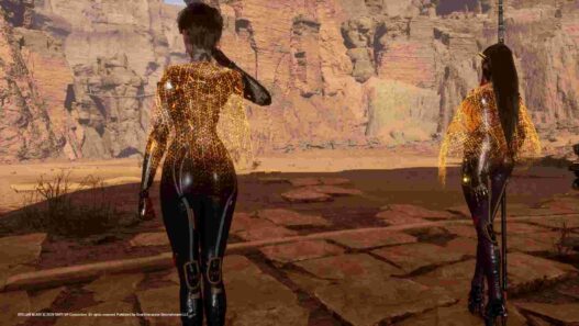 Shortens the cape on the Royal Guard suit in Stellar Blade for better visibility while keeping the cloak’s cool aesthetic. Texture-based mod.