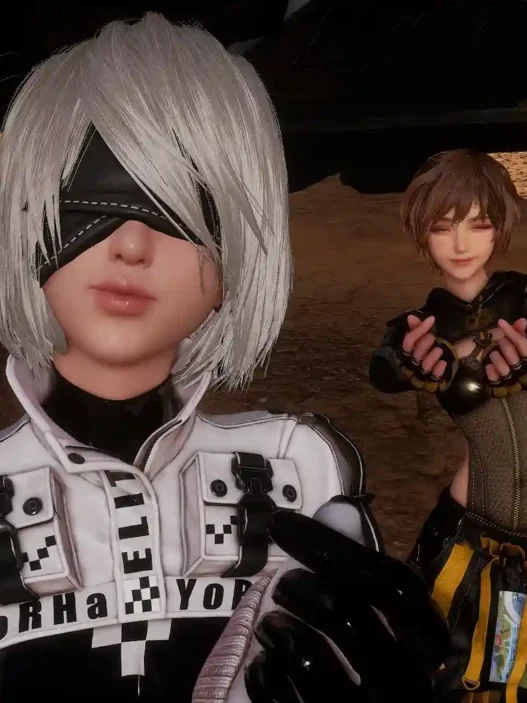 Disable or Enable HPET Tool-Optimize stuttering - increase frame rate - optimize loading in Stellar Blade mods.